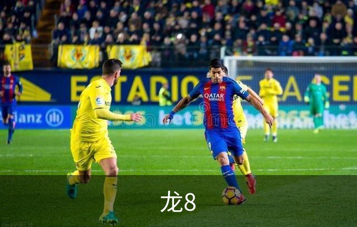 关于龙8